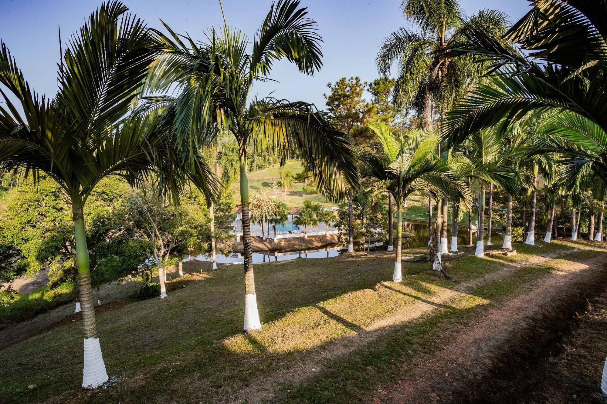 Recanto Das Aguas - Chales No Meio Da Mata Atlantica Eldorado Eksteriør billede